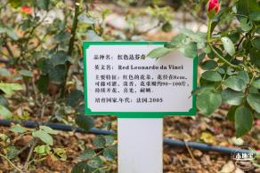 罗田森林公园