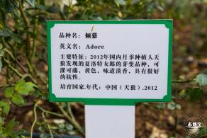 罗田森林公园