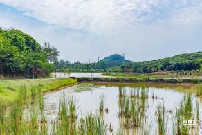 罗田森林公园
