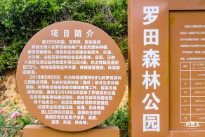 罗田森林公园