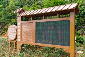罗田森林公园