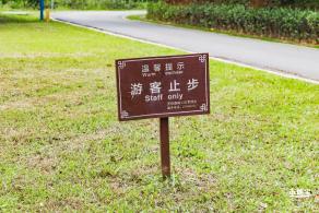 罗田森林公园