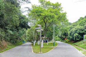 罗田森林公园
