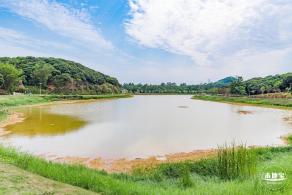 罗田森林公园