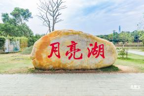 罗田森林公园