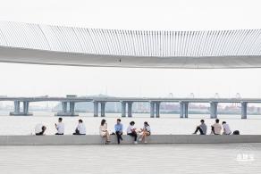 格桑花花海-宝安滨海文化公园