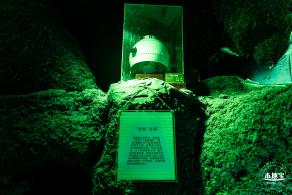 少年宫（信息世界+海底奇观）