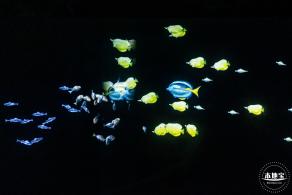 少年宫（信息世界+海底奇观）