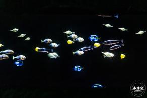 少年宫（信息世界+海底奇观）