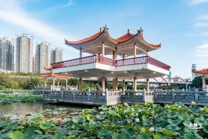 洪湖公园