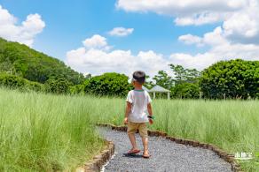 红花山绿色花海