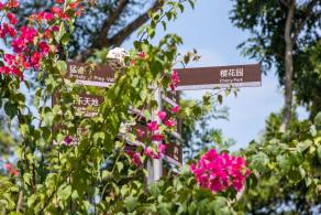 深圳野生动物园