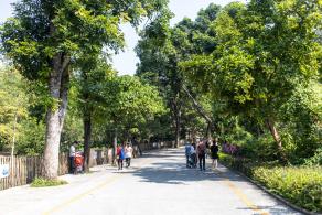 深圳野生动物园