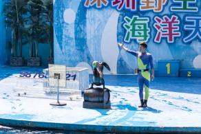 深圳野生动物园