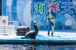 深圳野生动物园