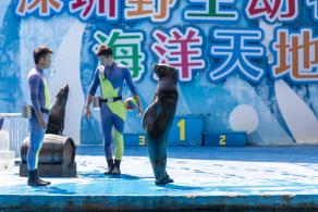 深圳野生动物园