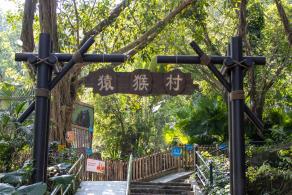 深圳野生动物园
