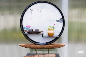 洪湖荷花