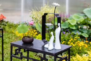洪湖荷花