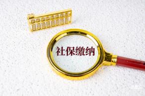 社保缴纳