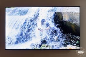 红树林画廊