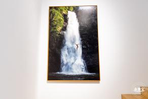 红树林画廊