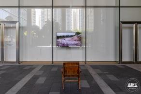 红树林画廊