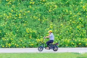 电动车