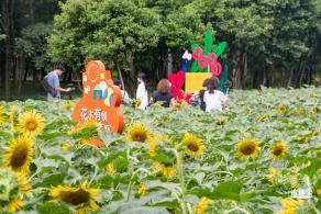 市民中心向日葵