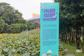 市民中心向日葵