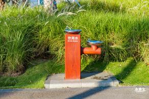 前海石公园2021