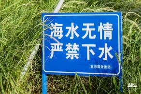 前海石公园2021