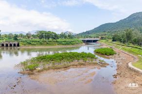 禾塘湿地园2021