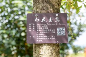 禾塘湿地园2021