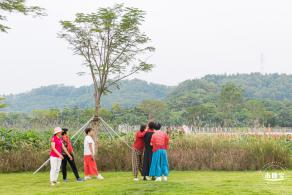 楼村湿地公园向日葵