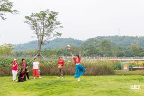 楼村湿地公园向日葵