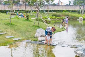楼村湿地公园向日葵