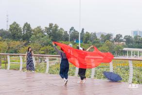 楼村湿地公园向日葵