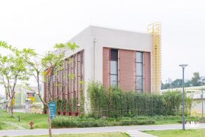 楼村湿地公园向日葵