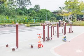 楼村湿地公园向日葵