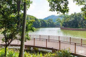 平湖生态园