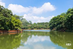 平湖生态园