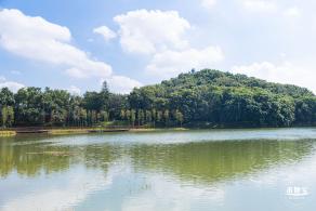 平湖生态园