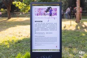 2021深圳簕杜鹃花展