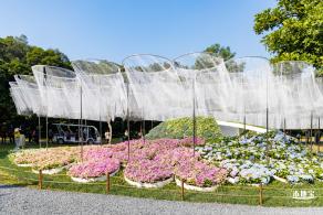 2021深圳簕杜鹃花展