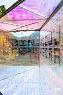 2021深圳簕杜鹃花展