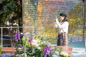 2021深圳簕杜鹃花展