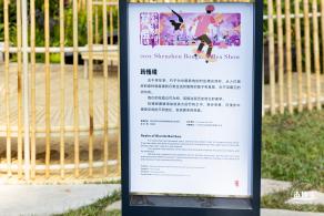 2021深圳簕杜鹃花展