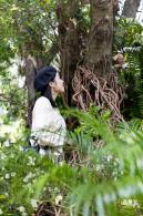 2021深圳簕杜鹃花展