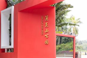 2021深圳簕杜鹃花展
